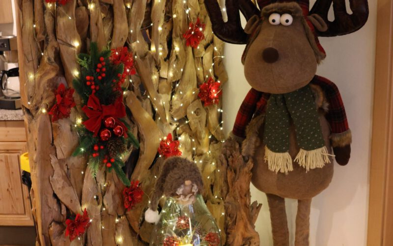 02dd3725-48a7-40a1-96b4-c72c54685bcb