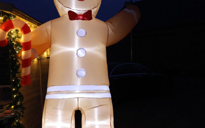 0cfd0120-d883-4067-9f2e-0fae599b7581