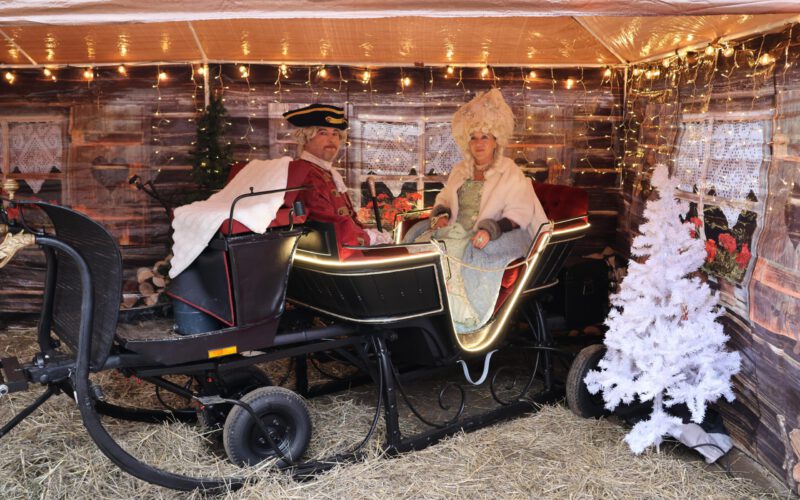 407393d4-cf4d-4d01-872e-458dfa1596a3