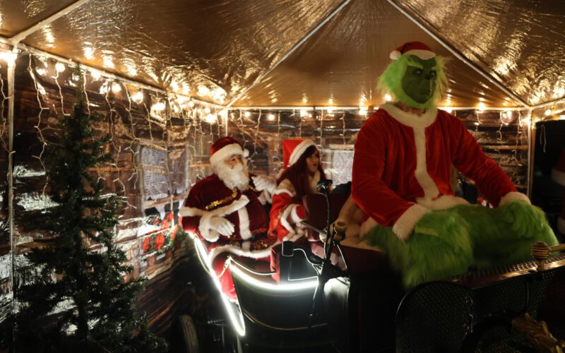 4231ccd3-b408-4d7a-8a4f-c5cddc723c1c