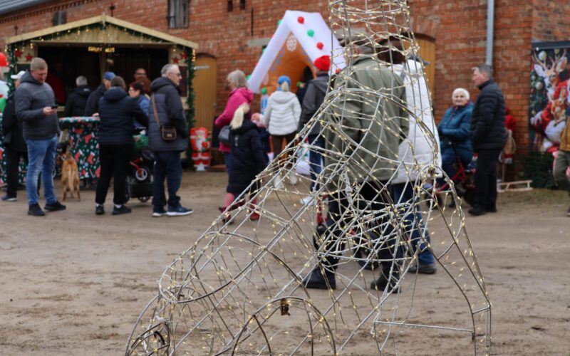 5ff457f0-5cab-43c1-91b9-0d925c5b5d66