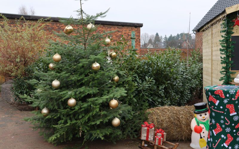 6f2dcb97-b660-488f-903f-9b22646c1ce6