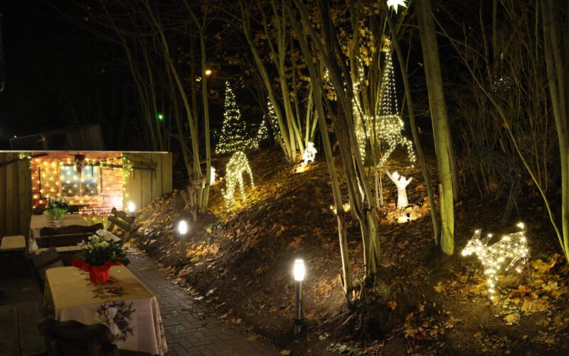 79b12ca8-ab25-4699-8830-386c32c6ff4f