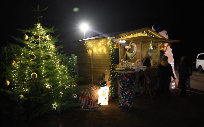 87559d18-2975-4609-a754-135f2bb2b01a