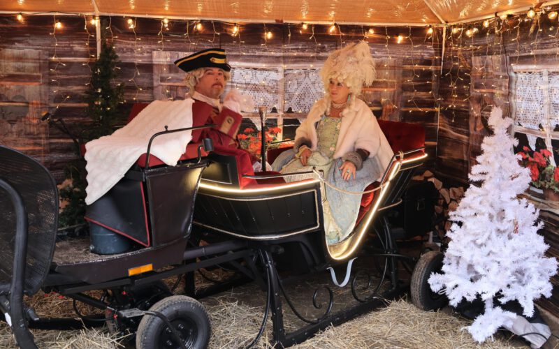 90e750f9-fac0-481f-8333-e803293d01d4