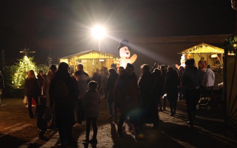 bd404bb0-8fd0-4898-b5c2-1d761572ed00