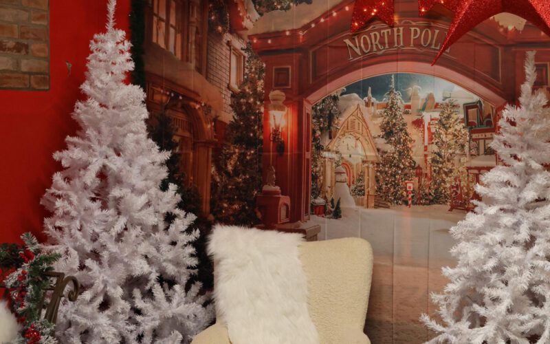 c50c6fb5-704f-4809-8413-a9a61f7ceef1