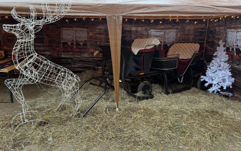 db38bb4a-834f-42e8-9393-6afd7b786d48