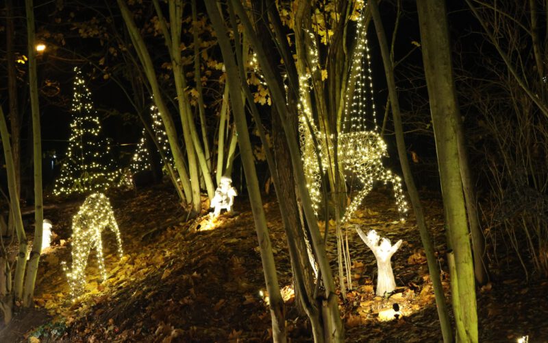 e3c615a1-b8c4-42db-9c7e-88707dd85bc9