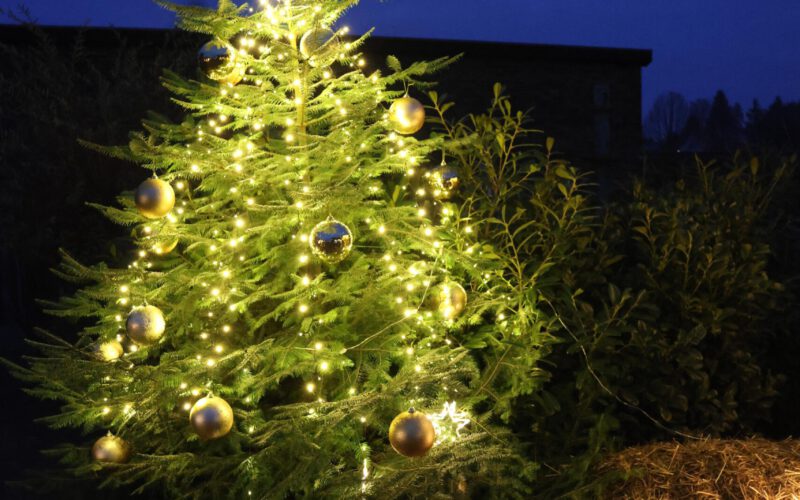 e4776e0e-cb13-4dd3-a069-b5eeb5af1f39