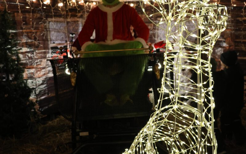 f1baf4a5-8a1e-4d55-972a-213a38f582f9