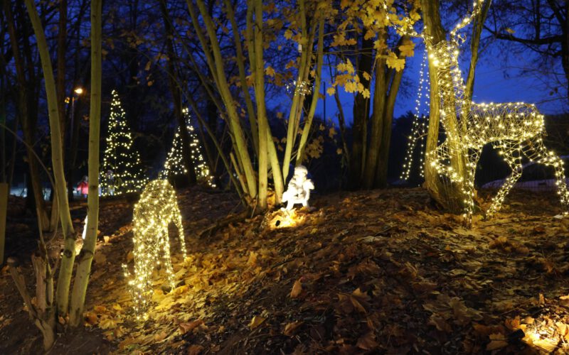 fbf3afcc-7449-4bb4-af9a-2f0e7155904c